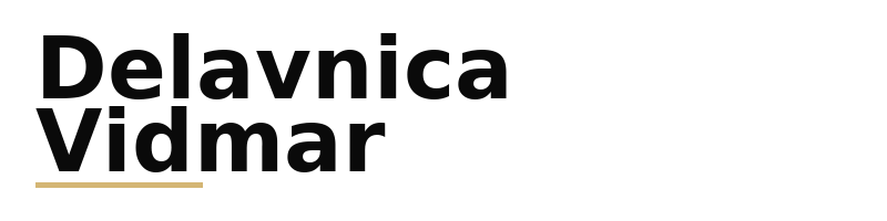 Delavnica Vidmar logo